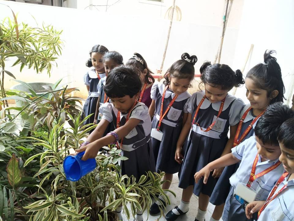 Nature's Little Guardians – Van Mahotsav Celebration at KG